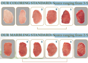 Chairmans Reserve Pork grading scale